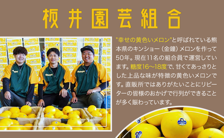 キンショーメロン 4kg(6～9玉) メロン《2026年4月上旬-7月上旬頃出荷》熊本県 菊池市 果物 フルーツ 金鐘 ノーネットメロン 黄色いメロン 菊池市産 熊本県産 九州産 送料無料---101