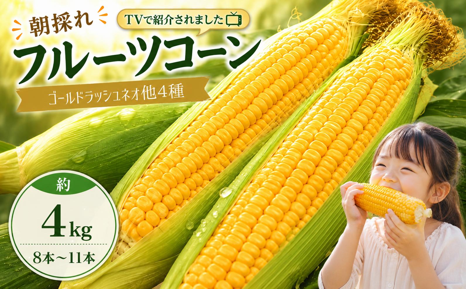 【2027年先行予約】南国フルーツコーン イエロー種 4kg(約8～11本) | ゴールドラッシュネオ とうもろこし トウモロコシ コーン スイートコーン フルーツとうもろこし もぎたて 新鮮 朝採れ 朝どり 夏野菜 旬 期間限定 数量限定 産地直送 農家直送 フルーツのような甘さ 甘い 激甘 皮付き 家庭用 高知県 南国市 BBQ バーベキュー キャンプ アウトドア