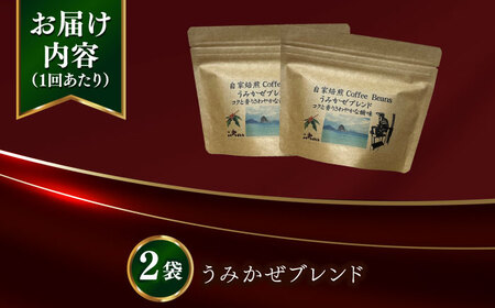 【全12回定期便】Fuuki Coffee Roaster Coffee Beans うみかぜブレンド2パック[RBO025] コーヒー 珈琲 コーヒー 珈琲 コーヒー 珈琲 コーヒー 珈琲九州 長崎