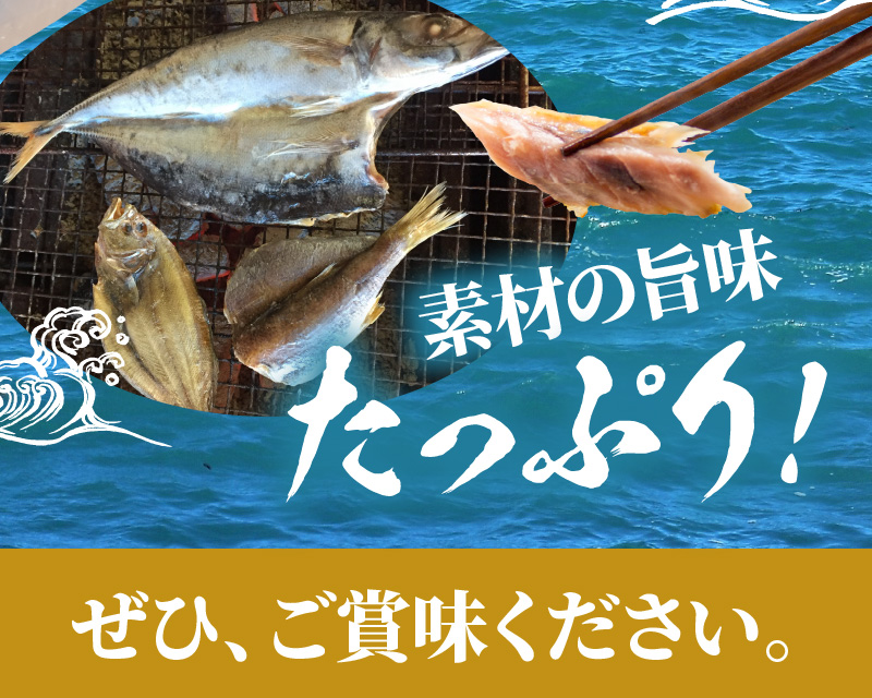 干物セットB N014-YZB240_イメージ4