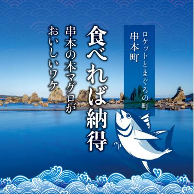 ふるさと納税 串本町 本マグロ(養殖) トロ&赤身セット 1kg 【nks105B】 |  | 01