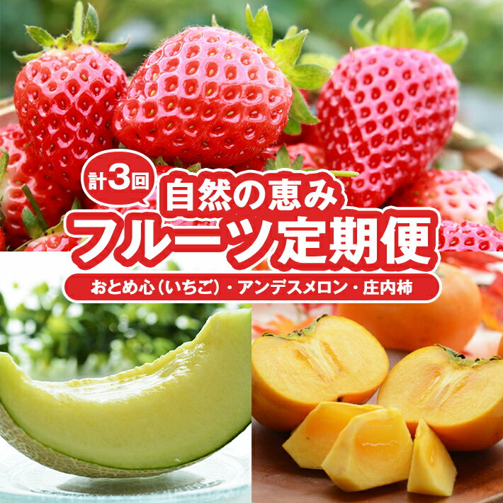 【ふるさと納税】≪3回定期便≫ 自然の恵みフルーツ定期便2025(2) 4月〜5月「おとめ心(いちご)」 6月下旬～7月下旬「アンデスメロン」 10月中旬〜11月下旬「庄内柿」 計3回 山形県酒田産 ※着日指定・離島発送不可 頒布会 イチゴ 苺 かき カキ 平種無し柿