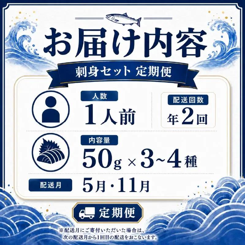 刺身セット 1人前 × 年2回定期便 刺身【AK】