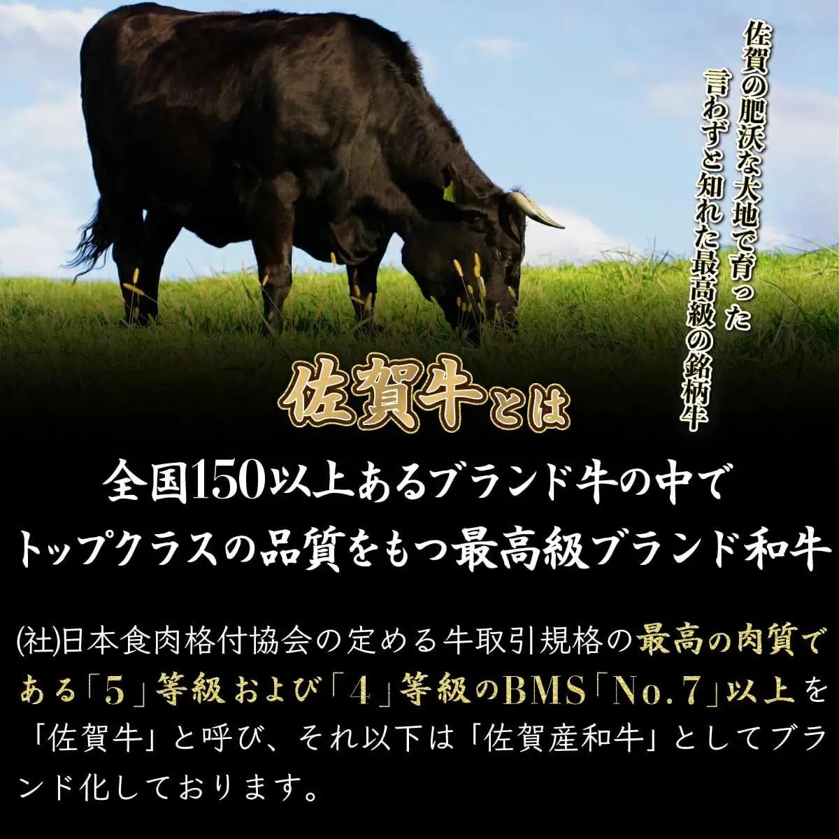 佐賀牛切り落とし 3kg (500g×6P) 