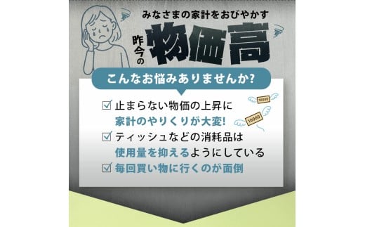 MH140-0112_【ふるさと納税】 ティッシュ ティッシュペーパー 1箱150組/300枚 5箱×2パック 合計10箱 [ 常備品 生活用品 まとめ買い 蛍光染料不使用 日用品 日用雑貨 日用消耗