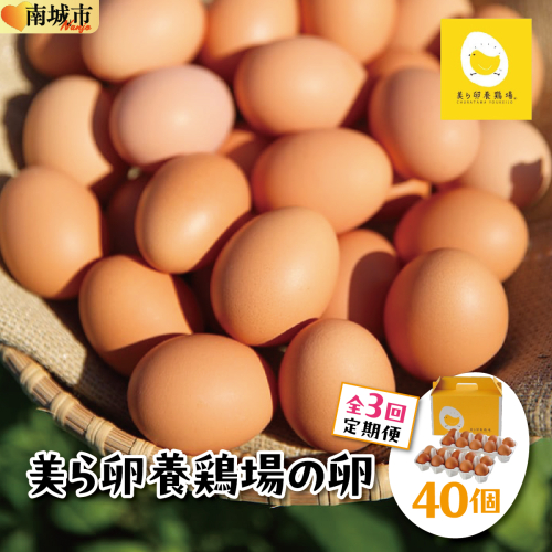 卵の黄身が掴めるほどの新鮮さ 美ら卵養鶏場の卵 40個【3ヶ月定期便】