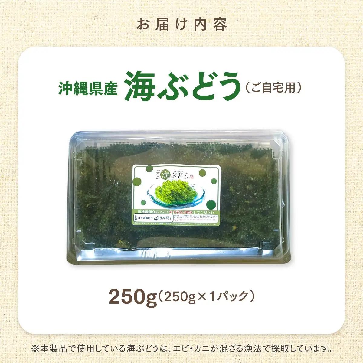 海ぶどう　250g× 1 パック（ご自宅用）