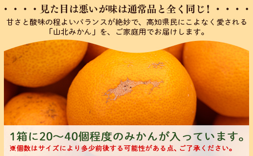 訳あり 山北みかん ご家庭用 3kg 約20～40個入り - 果物 フルーツ 柑橘類 温州みかん ミカン 蜜柑 訳アリ わけあり 生産者応援 甘い おいしい 美味しい 山北みらい 高知県 香南市 yk