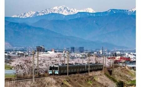 塩尻産スパークリングワイン 3本セットB|ワイン わいん スパークリング セット 長野県 塩尻市