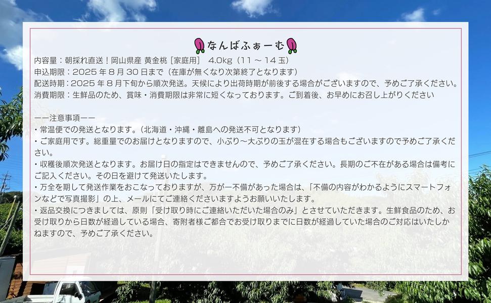 【2025年先行予約】［なんばふぁーむ］岡山県産 黄金桃 4.0kg（11～14玉）［ご家庭用］