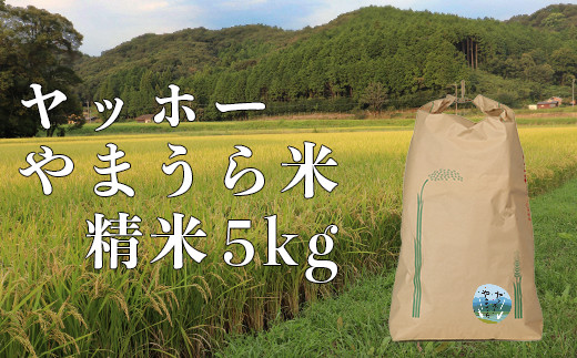 山浦地区まちづくり推進協議会のヤッホーやまうら米 5kg（精米） 米 ＜078-001＞