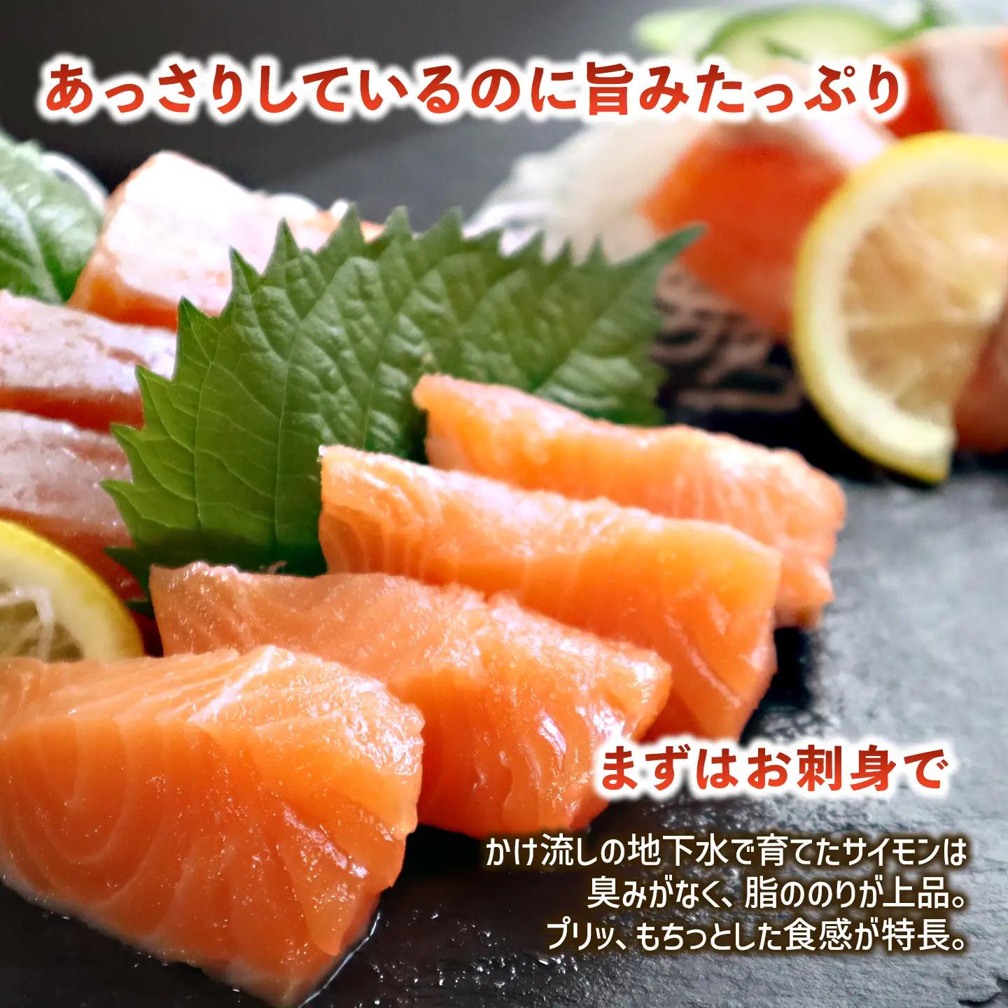 【国産サーモン】西条産陸上養殖サーモン「サイモン」冷凍フィーレ 約400g