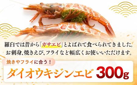 ダイオウキジンエビ(ガサエビ) 300g えび エビ 海老  魚介 魚介類 北海道 羅臼町 海産物 冷凍 刺身 フライ 生産者 支援 応援