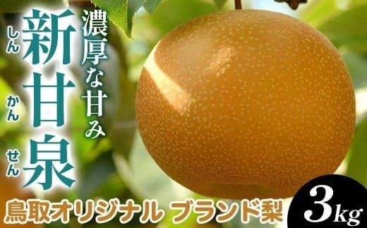 【先行予約】新甘泉 3kg前後（3～12玉前後) ※2026年8月下旬～9月下旬頃に順次発送予定【先行予約 梨 なし 果物 フルーツ くだもの 鳥取県 北栄町 おすすめ 人気 送料無料】