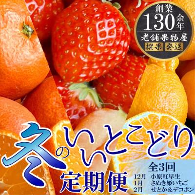 ふるさと納税 坂出市 【発送月固定定期便】冬のいいとこどり定期便(12月・1月・2月)全3回
