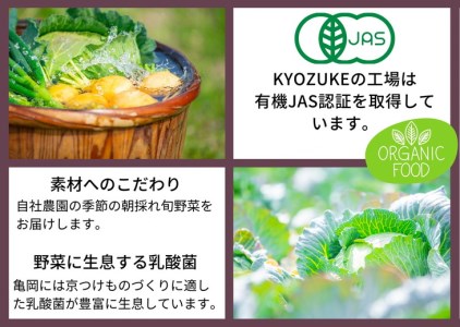 漬物 旬野菜とかんたんぬか漬セット 漬物