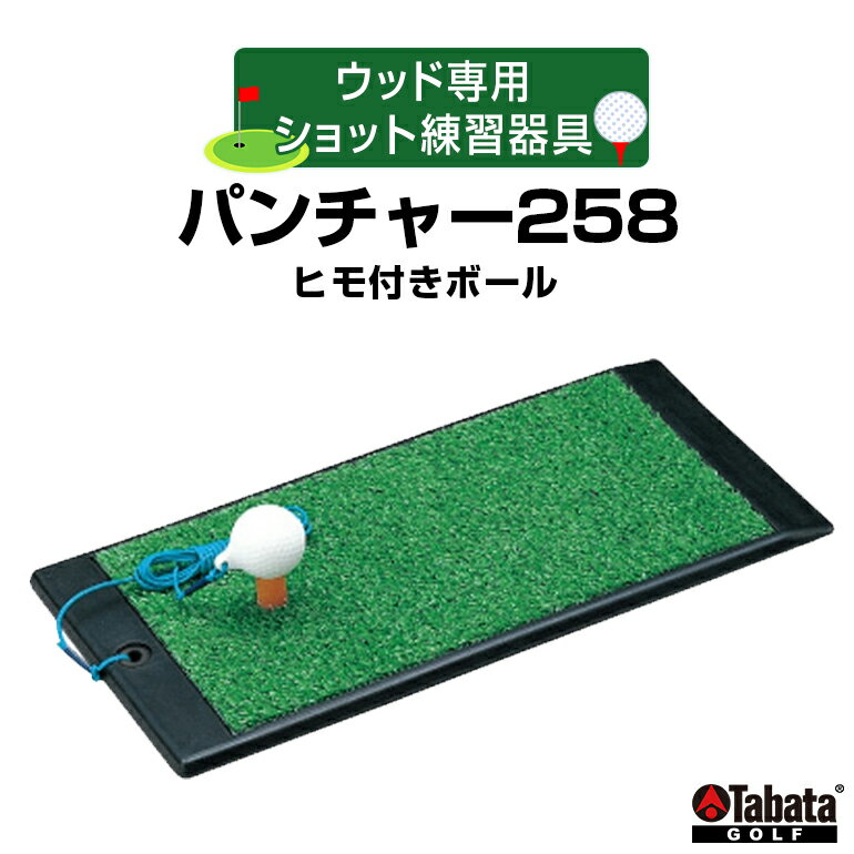 【ふるさと納税】タバタ Tabata パンチャー258 ヒモ付きボールGV0258 練習 ゴルフ コンパクト トレーニング 茨城県 送料無料