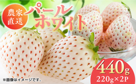 佐賀県産 パールホワイト 約220g×2パック / 佐賀県 / かわさきいちご [41ASBJ003]