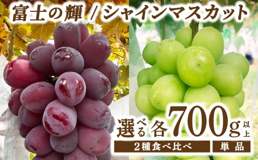 
                  ＜選べる品種＞ 富士の輝（ぶどう） シャインマスカット 大木町 フルーツ 果物 宝果FARM [DC001/DC002/DC003]
                