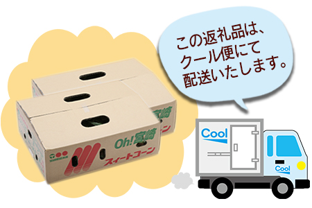 期間限定！予約受付！＜宮崎県産 スイートコーン 約9kg（約4.5kg×2箱）＞2024年5月下旬～6月中旬迄に順次出荷【 先行予約 穀物 野菜 甘い 季節限定 とうもろこし おやつ ご飯 スープ サ