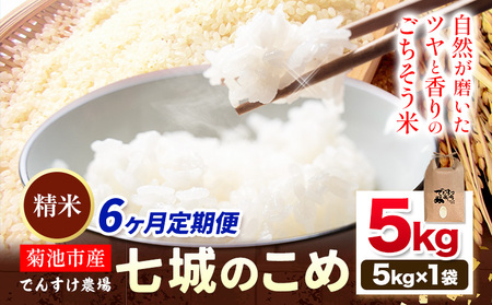 【6ヶ月定期便】令和7年産 精米 七城のこめ 5kg《30日以内に出荷予定(土日祝除く)》熊本県 菊池市 米 白米 ヒノヒカリ でんすけ農場