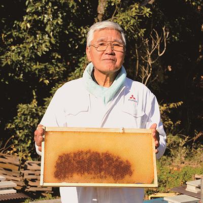 ふるさと納税 袖ケ浦市 房総里山のかわの養蜂はちみつ　200gチューブ　3本セット |  | 01