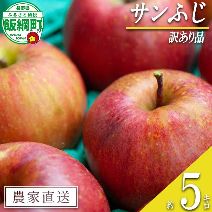 【ふるさと納税】 りんご サンふじ 5kg 訳あり 原山農園 沖縄県への配送不可 〔 果物 フルーツ 林檎 長野 予約 農家直送 不揃い 規格外 5キロ 12000円 〕【令和7年度収穫分】 発送：2025年12月中旬〜