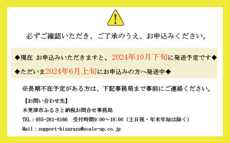 【訳あり】木更津魚市場直送！不揃い銀鮭切身 (厚切り) 2.1kg以上 鮭 カマ しゃけ シャケ さけ サケ 銀鮭 かま サーモン 切身 切り身 切り落とし 切り落し 切落し 切落とし 低塩 訳あり 