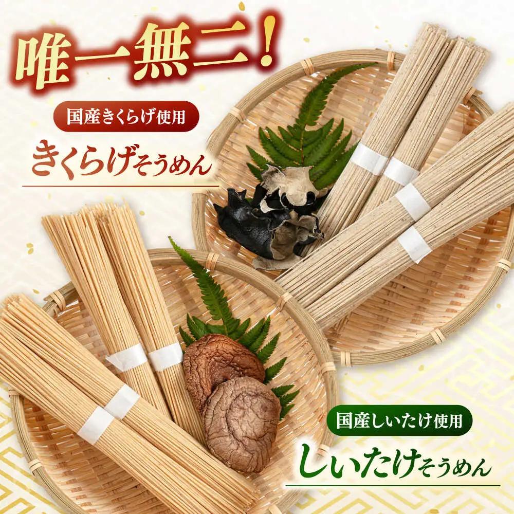 しいたけ素麺ときくらげ麺のセット（各2食分） ADBA017 素麺 そうめん 人気