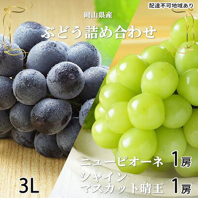 【ふるさと納税】ぶどう 2026年 先行予約 ニュー ピオーネ 1房 約600g シャイン マスカット 晴王 1房 約600g 詰め合わせ 8月下旬～9月下旬発送 岡山県産 国産 フルーツ 果物 ギフト 岡山の葡萄 食べ比べ 　お届け：2026年8月下旬～2026年9月下旬