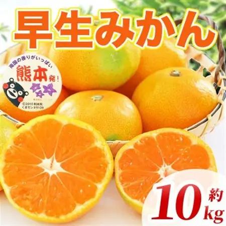 早生みかん 2S～2L 約10kg(益城町)【1725650】