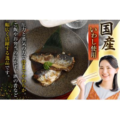 ふるさと納税 気仙沼市 訳あり 業務用 いわし煮魚 3種×10尾 計30尾入 約1.5kg 簡易包装 20565562 |  | 02