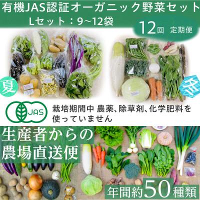 ふるさと納税 掛川市 【毎月定期便】有機野菜　Lセット　オーガニック 野菜セット　有機JAS認証　しあわせ野菜畑　全12回