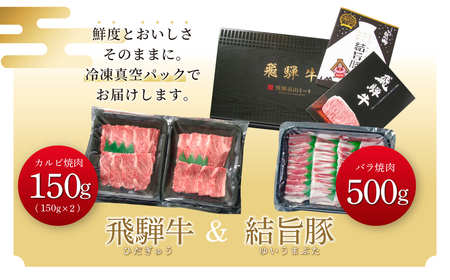 飛騨牛 結旨豚 焼肉 食べ比べ セット 計800g 飛騨牛 カルビ焼肉 300g 結旨豚 バラ焼肉 500g 冷凍真空パック | 肉 お肉 黒毛和牛 和牛 人気 おすすめ 牛肉 豚肉 ギフト お取り寄