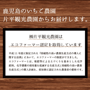 No.907 苺ジャム(200g×4本)と不知火ジャム(200g×2本)【片平観光農園】