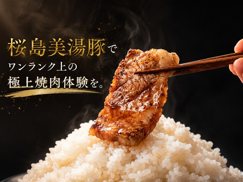 B2-0409／桜島美湯豚 BBQセット(焼肉用バラ・肩ロース・ロース) 計1.8kg