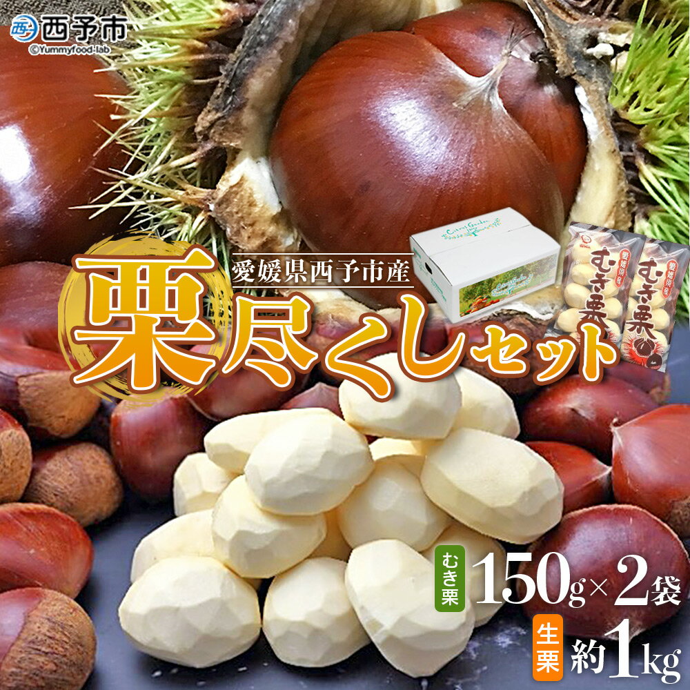 【ふるさと納税】【先行予約】＜栗尽くしセット（むき栗150g×2袋・生栗1kg）愛媛県西予市産＞ くり 生栗 剥き栗 マロン モンブラン 家庭用 栗ご飯 栗きんとん 甘露煮 秋の味覚 特産品 国産 宇都宮物産 愛媛県 西予市【冷蔵】『2026年9月中旬～10月下旬迄に順次出荷予定』