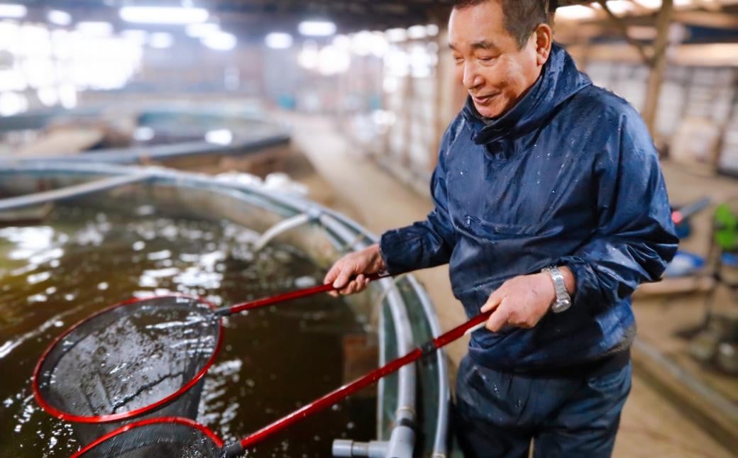 長崎の森で育てた『幻のクエ』 鍋用 約500g 2~3人前 ／ 海鮮 魚介 高級魚 鍋 セット クエ 養殖 長崎県 長崎市