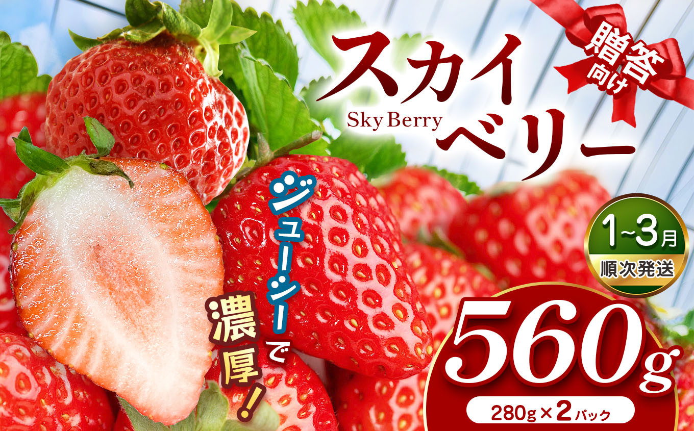 
            発送月 選べる スカイベリー（贈答向け）いちご ギフト｜280g × 2p 280g × 4p 1月 2月 3月 4月 贈答品 プレゼント 新鮮 完熟 いちご 旬 スカイベリー 苺 ストロベリー 高級 産地直送 大容量 人気 高評価 真岡市 栃木県 送料無料
          