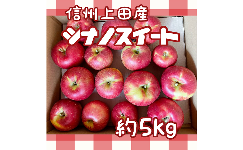 りんご 信州上田産 シナノスイート 約5kg 林檎 リンゴ 5kg 果