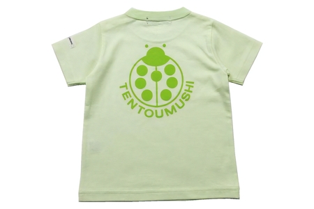 子ども用 半袖Tシャツ TENTOUMUSHI てんとう虫PT ライトグリーン 80サイズ [0799]