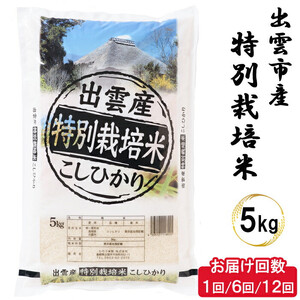 【令和8年産】特別栽培米　出雲市産コシヒカリ　5kg