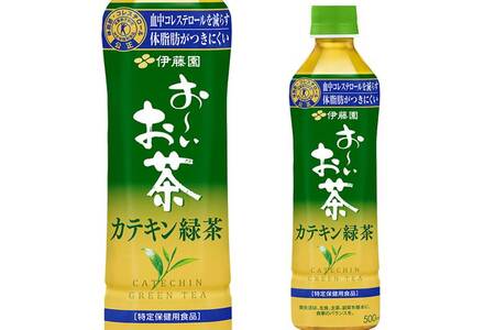 《定期便12ヶ月》伊藤園 お〜いお茶 カテキン緑茶【特定保健用食品】 500ml×24本【2ケース】