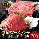 【ふるさと納税】宮崎牛肩ロース焼きしゃぶ300g 宮崎牛ウデ焼肉400g 合計700g ミヤチク 焼きしゃぶ ウデ焼肉 お肉 肉 牛肉 精肉 精肉セット お肉セット セット 詰め合わせ 食べ比べ 味比べ 焼肉セット 焼肉 グルメ 食品 冷凍 宮崎県 宮崎市 送料無料