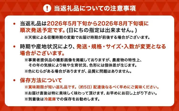 【先行予約】 イチジク ハウスイチジク 約4kg（約250g×16パック） 【合同会社宝Farm】【2026年5月下旬～8月下旬頃順次発送予定】※離島配送不可 宇城市産イチジク 国産イチジク 熊本県産