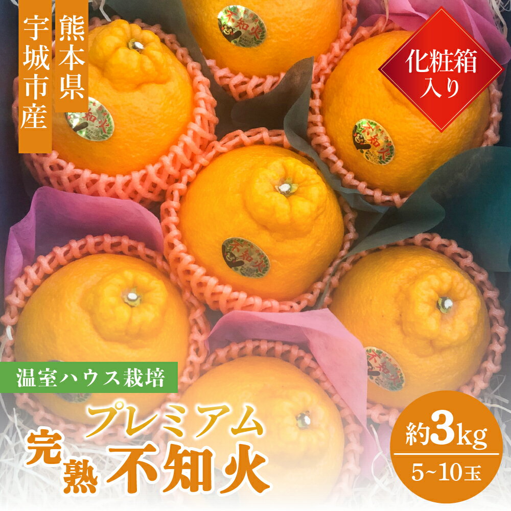 【ふるさと納税】【先行予約】不知火 温室ハウス栽培 プレミアム完熟不知火 化粧箱入り 3kg 5玉〜10玉 高橋果樹園 しらぬい 柑橘 熊本県産 九州産 国産 送料無料 【2025年12月上旬から2026年1月下旬発送予定】