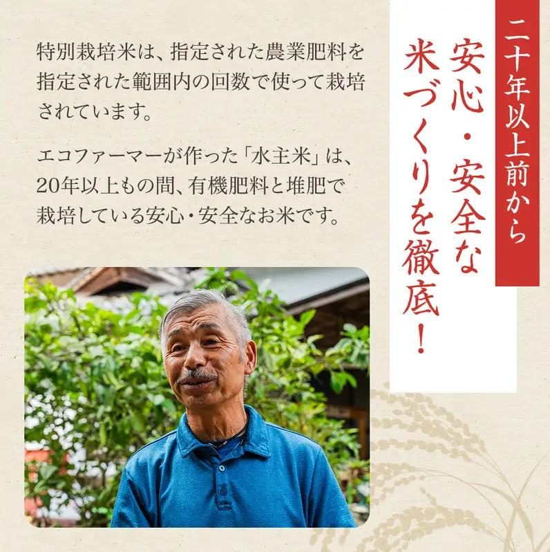 コシヒカリ 水主米 地域ブランド米 コシヒカリ【精米10kg】