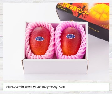 【令和６年発送】宮崎県産完熟マンゴー「果実の宝石」３Ｌ×２玉【期間限定 数量限定 先行予約 果物 フルーツ マンゴー 宮崎県産 みやざきマンゴー】