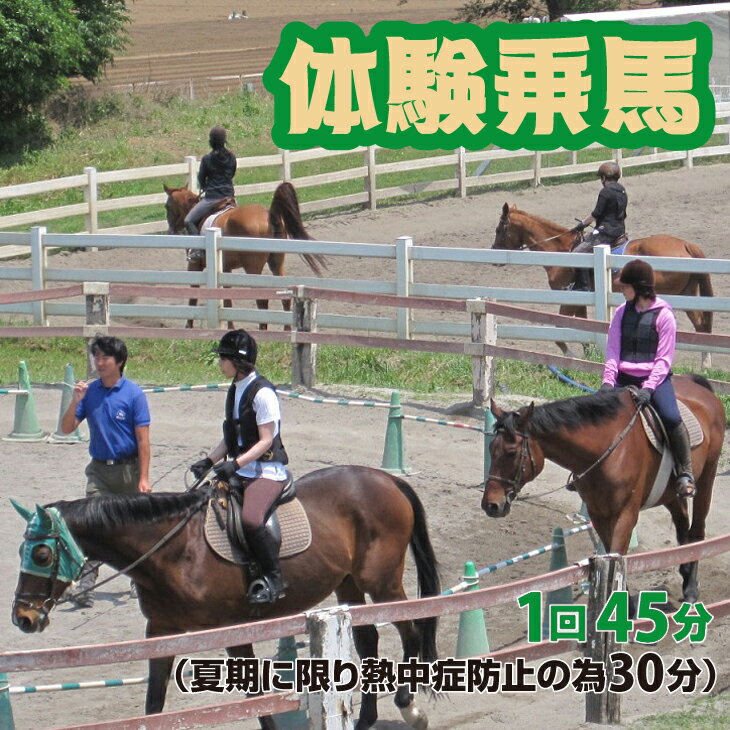 【ふるさと納税】体験乗馬 メンバー体験コース FAA-116