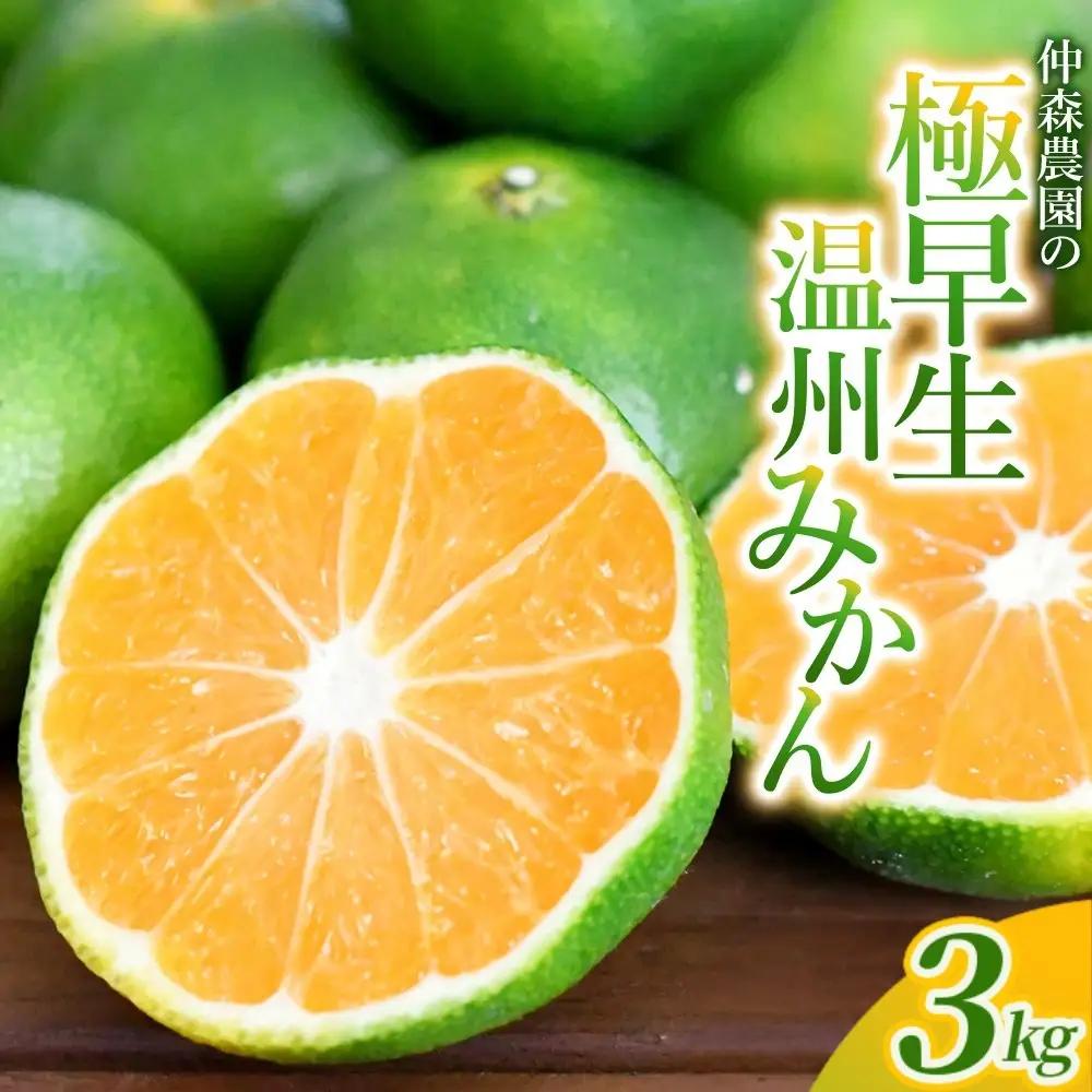 【ふるなびWEEK対象】みかん 極早生温州みかん 約3kg【nkmr0015-fw】